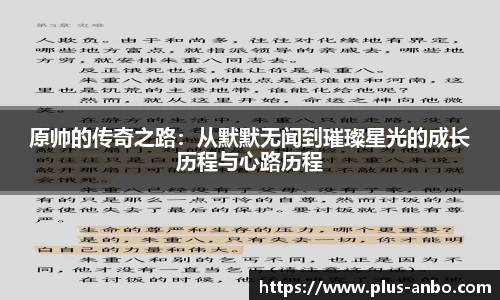 安博体育官方入口