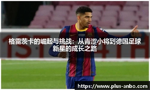 安博体育官方入口